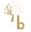 Quba Welfare Foundation